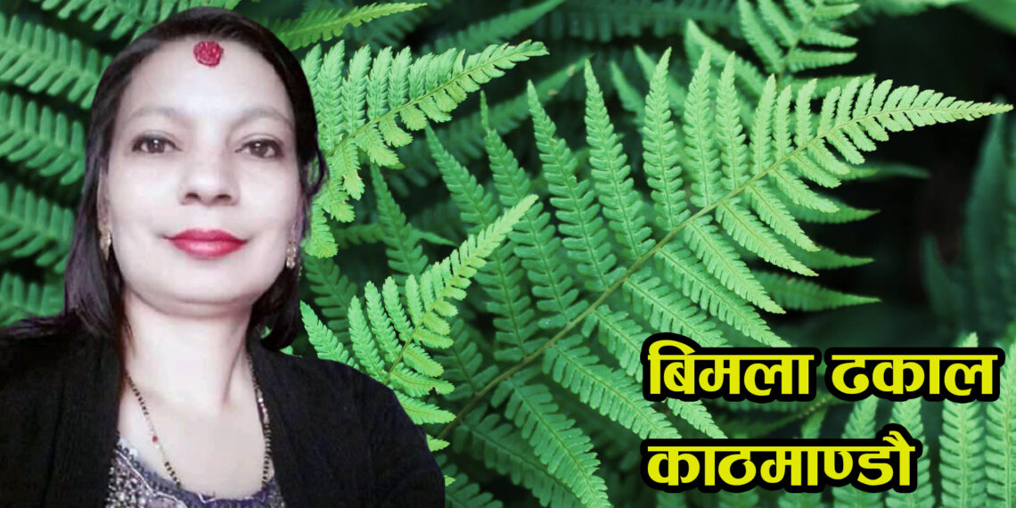 लघु उपन्यास – भोगाई