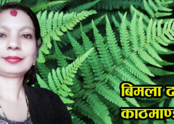 लघु उपन्यास – भोगाई