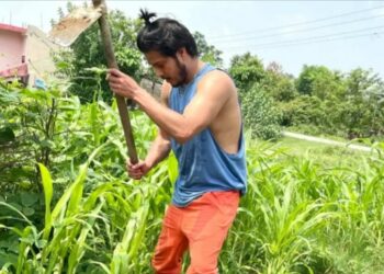 गाउँमा कृषि कर्ममा रमाउदै पुष्प